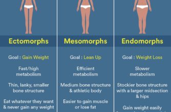 The Ultimate V Shred Meal Plan for Women with an Endomorph Body Type | Achieve Your Fitness Goals
