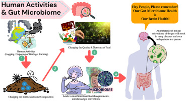 The Importance of Gut Microbiome in Sustaining Optimal Digestive Health