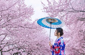 Sakura Season: Experience the Beauty of Japan's Cherry Blossoms