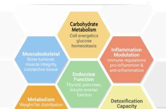 The Link Between Cortisol and Weight Gain: Exploring the Hormone's Role in Metabolism | Website Name