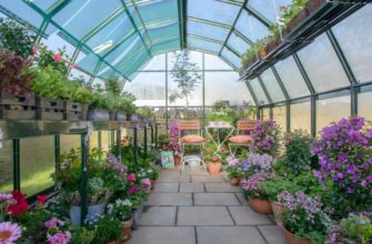 Discover the Amazing Benefits of Green Houses for Indoor Plants: Creating a Healthy Environment