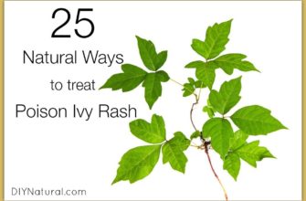Effective Poison Ivy Remedies: Natural Solutions for Quick Relief - Get Rid of the Itch and Rash Fast