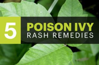 Natural Remedies for Poison Ivy: Effective Plant-based Solutions for Skin Rash Relief