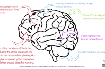 Unlocking the Potential: The Cognitive Benefits of Cursive Handwriting on Brain Development and Learning