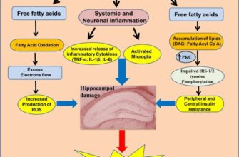 The Relationship Between High-Fat Diets and Cardiovascular Health: A Comprehensive Exploration